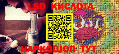бошки Славгород