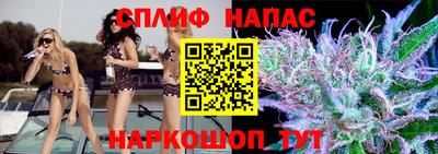 хмурый Сланцы