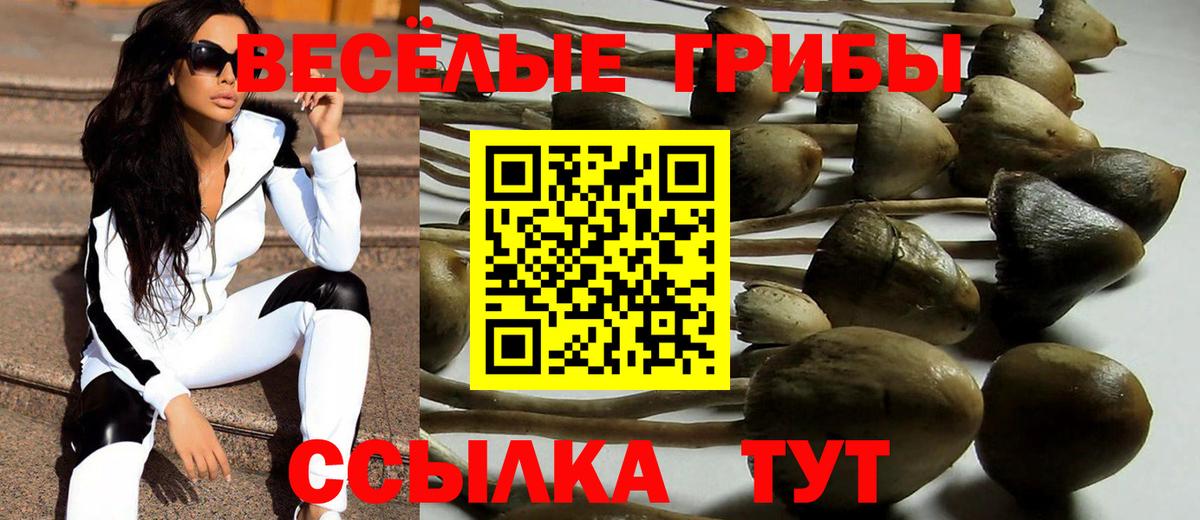 Галлюциногенные грибы ЛСД Лянтор